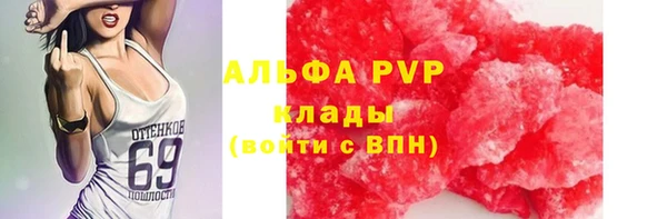 шишки Приозерск