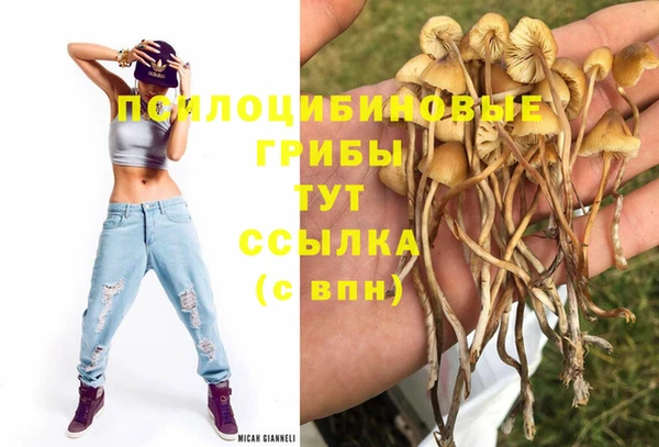 2c-b Алзамай