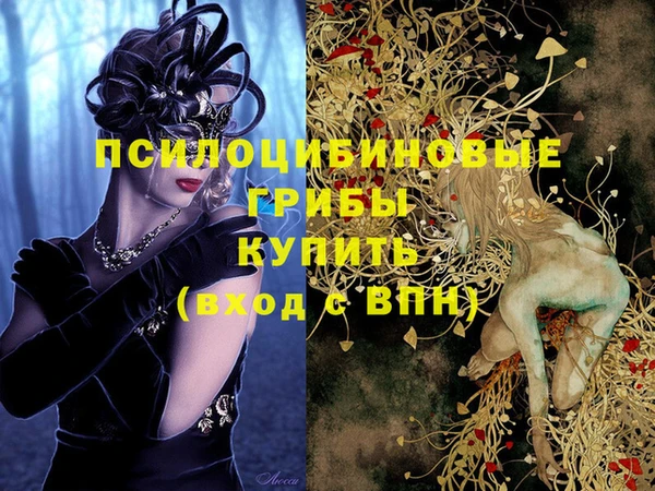 2c-b Алзамай