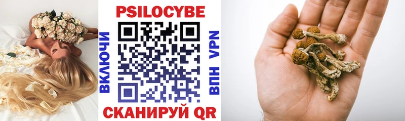 Псилоцибиновые грибы GOLDEN TEACHER кракен ТОР Яровое цены